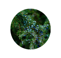 Ingredient 3
